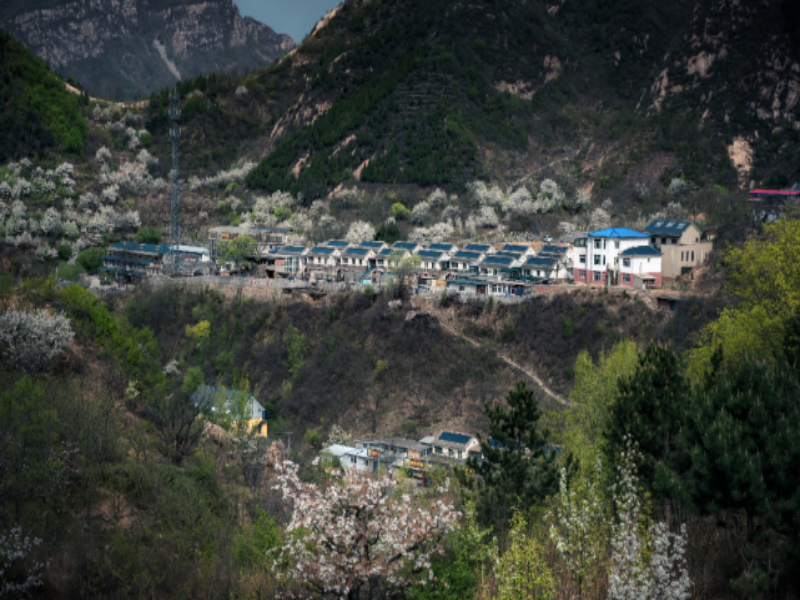 北京平谷梨花大道景区智能导览系统功能.png