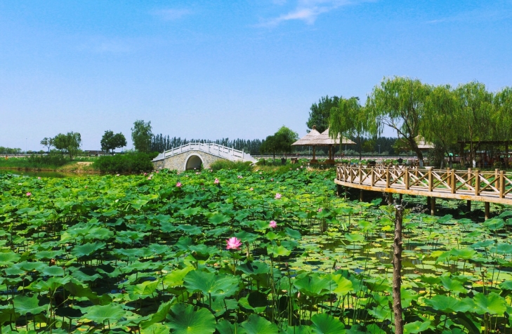 宁夏银川鸣翠湖国家湿地公司多业态分账管理系统多少钱.png