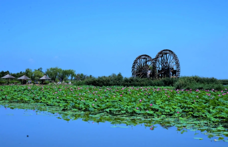 宁夏银川鸣翠湖国家湿地公司多业态分账管理系统功能需求.png