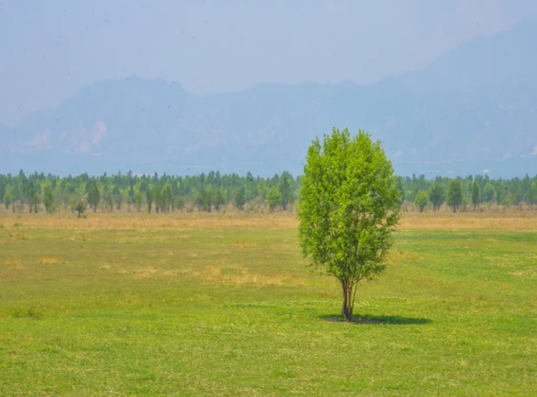 北京延庆康西草原风景区一卡通系统功能.png