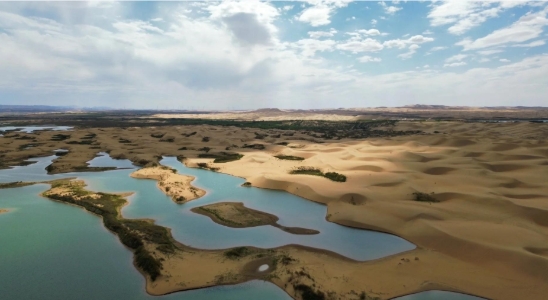 内蒙乌海湖景区多业态管理系统多少钱.png