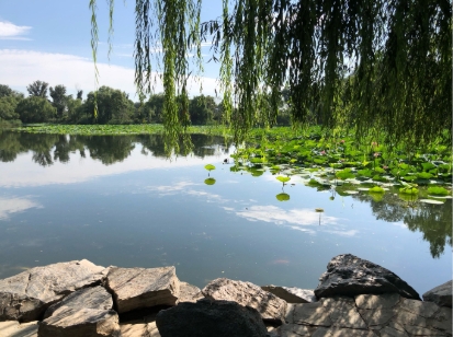 北京圆明园景区电子门票管理系统多少钱.png