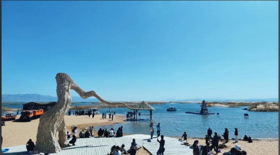 乌海文旅集团乌海湖电子票系统价格1.png