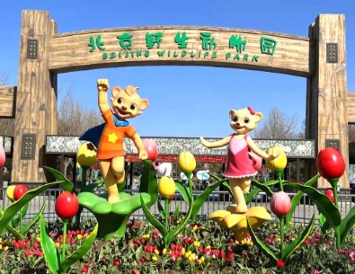 北京野生动物园智能导览系统解决方案1.png