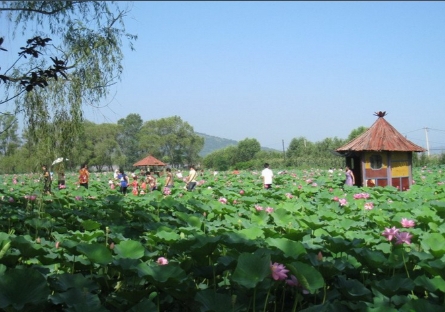 大连千年古莲园景区综合业态管理系统多少钱1.png