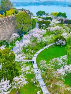 江苏南京昆虫公园景区票务管理系统 8 大功能.png
