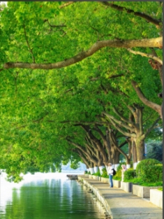 江苏南京昆虫公园景区票务管理系统开发公司.png