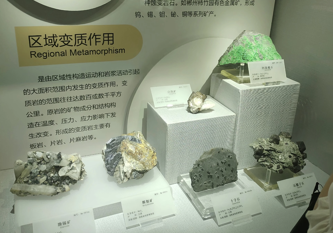 1767857842906341.jpg 湖南省地质博物馆票务系统方案.jpg