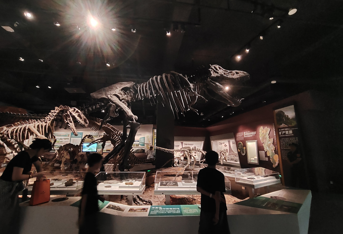 1767949452535089.jpg 湖南株洲博物馆导览系统价格.jpg