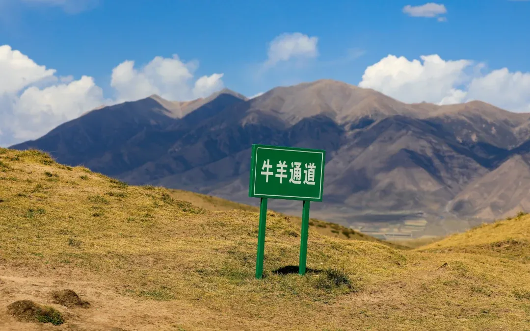 甘肃乌鞘岭旅游景区票务系统.png