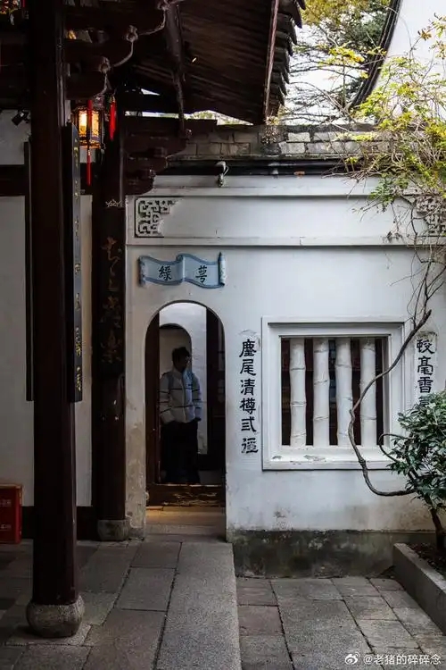 1769133984274497.jpg 冰心2.webp.jpg