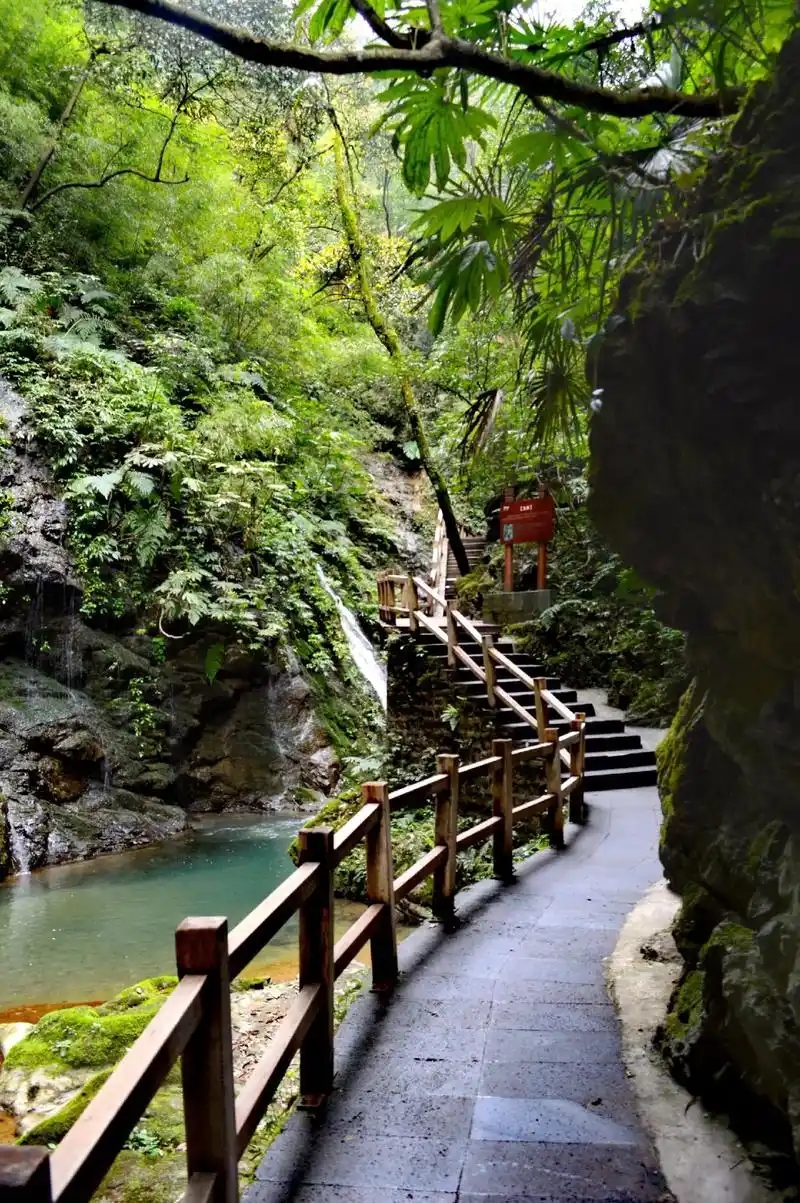 1772085176882384.jpg 峡谷2.webp.jpg