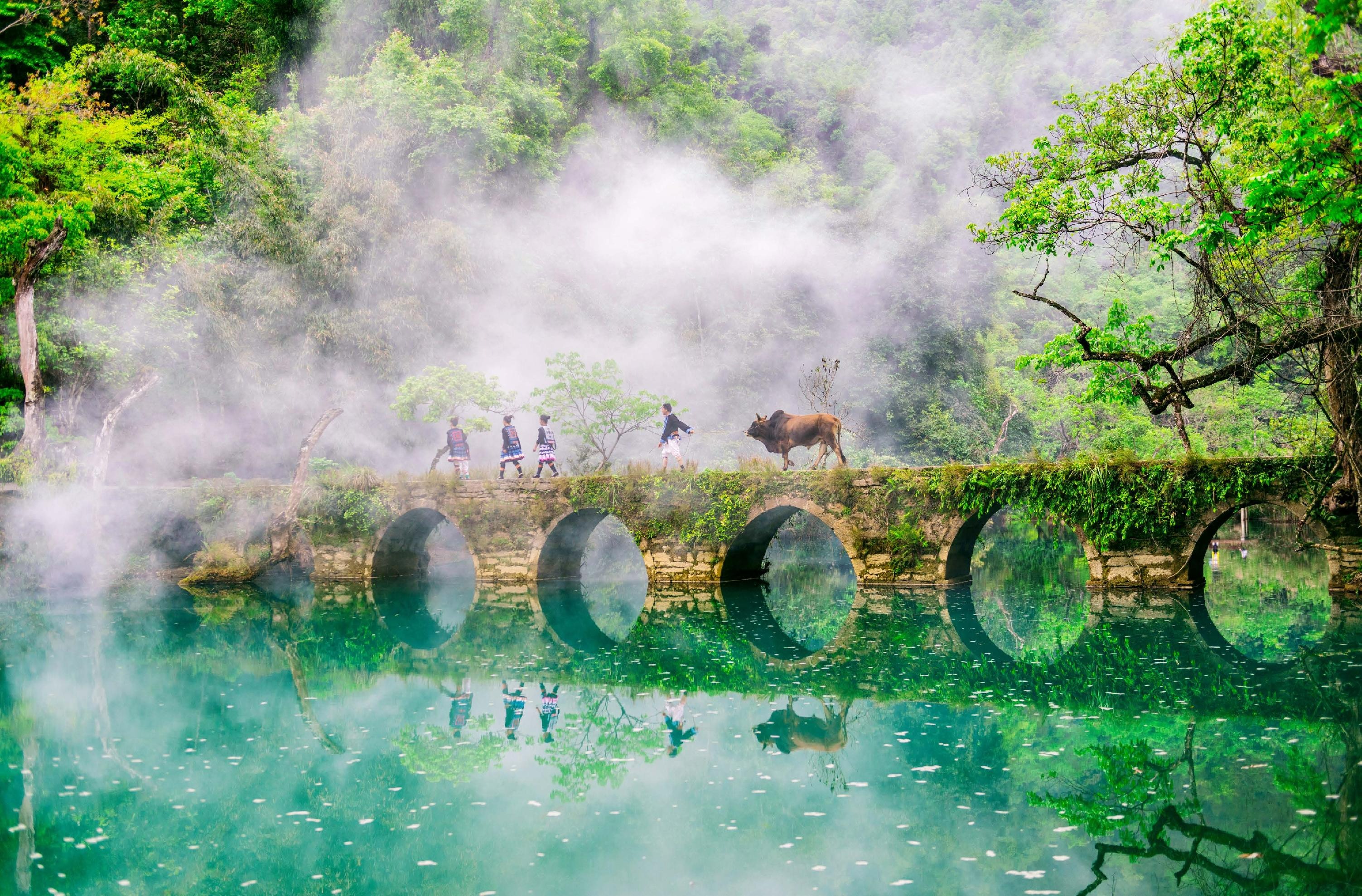 1772092897680680.jpeg 贵州省荔波樟江景区票务系统公司.jpeg