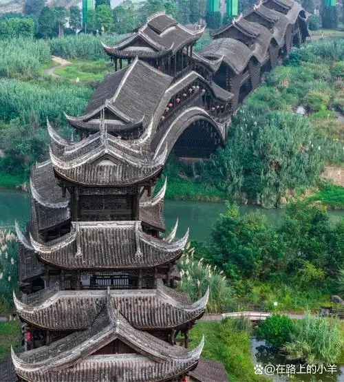 1772175306710332.jpg 重庆2.webp.jpg