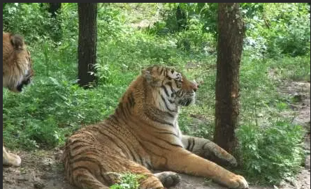 1772242180347697.png 长春动植物公园票务系统供应商.png