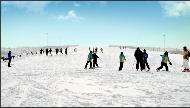 1772504431464177.png 邯郸园博园室内滑雪场票务系统案例.png