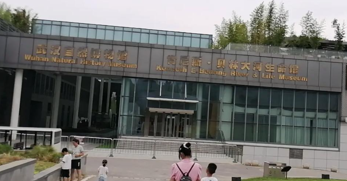 武汉自然博物馆票务系统公司.png