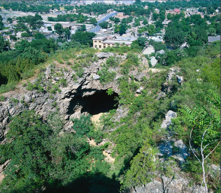 1772611475365585.png 周口店北京人遗址博物馆票务系统多少钱.png