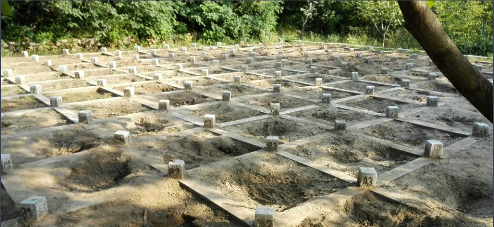 1772611482259376.png 周口店北京人遗址博物馆票务系统闸机.png