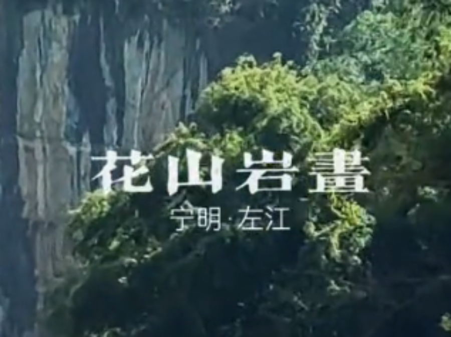 广西崇左花山岩画景区票务系统方案.png
